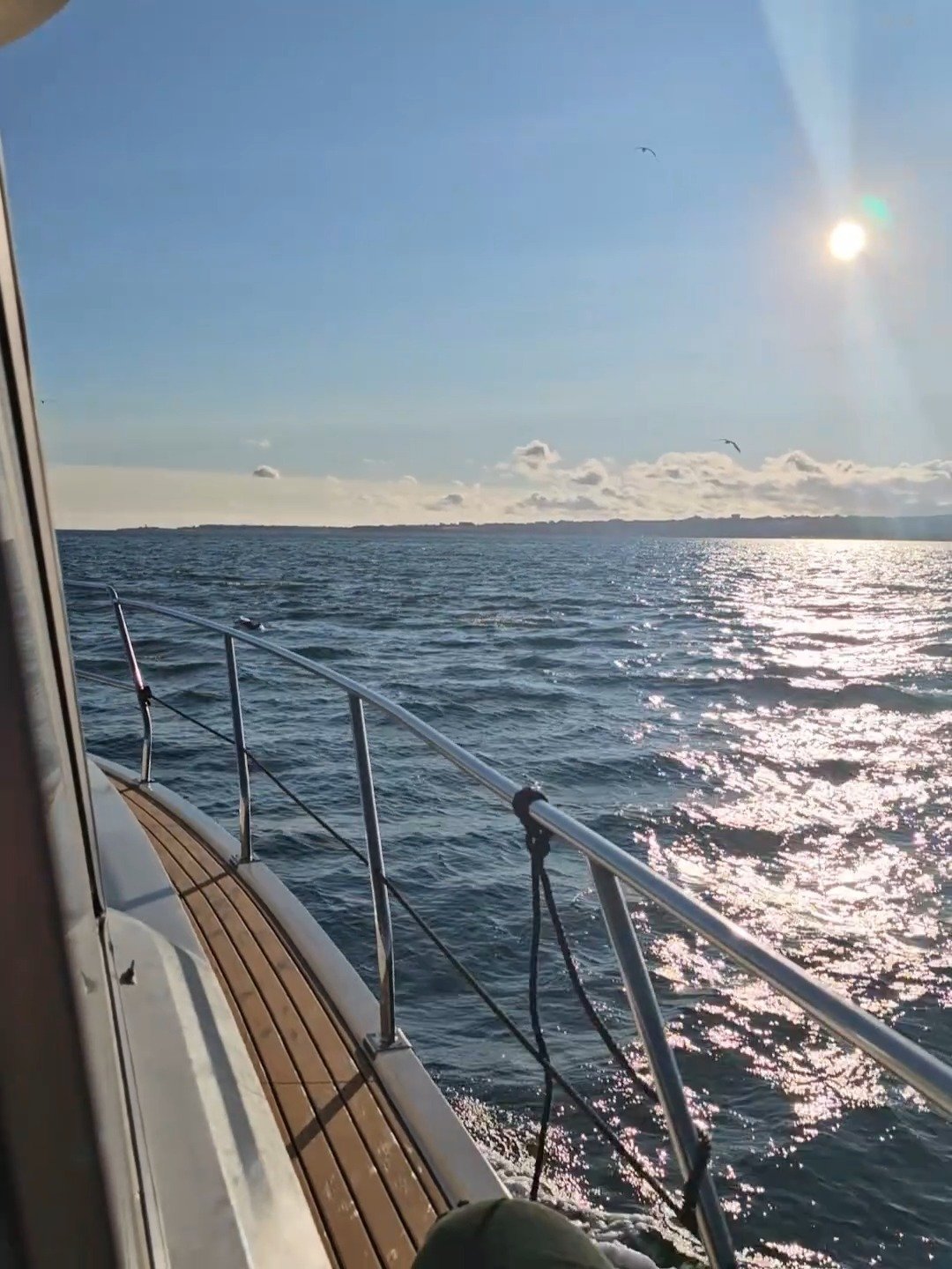 Que dia maravilhoso para passear de barco 🥰🐬

#photography #passeiodebarco #boattour #trip #tagusriver #love #dolphins #moments #riotejo #lisboa #lisbon #travel #sunset #sailing #visitportugal #portugal #europe