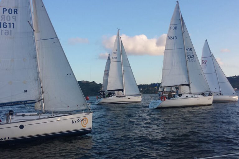 Several sailboats competing