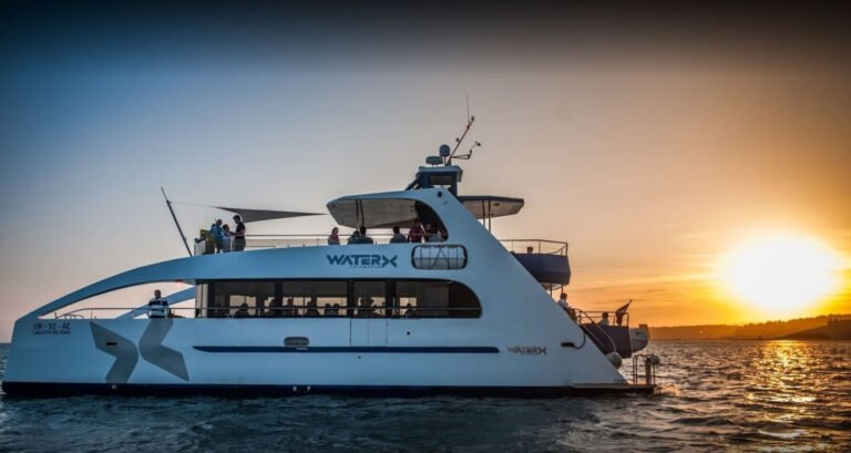 Motor catamaran during sunset