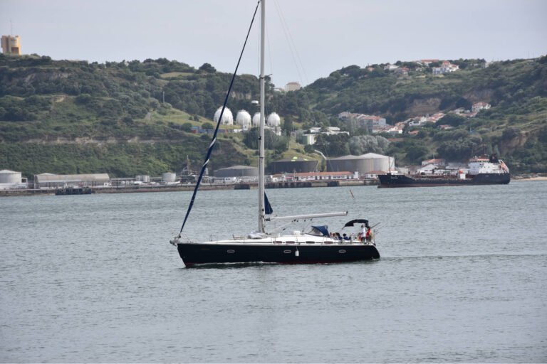 Taking in the views during the sailboat tour with guests on board