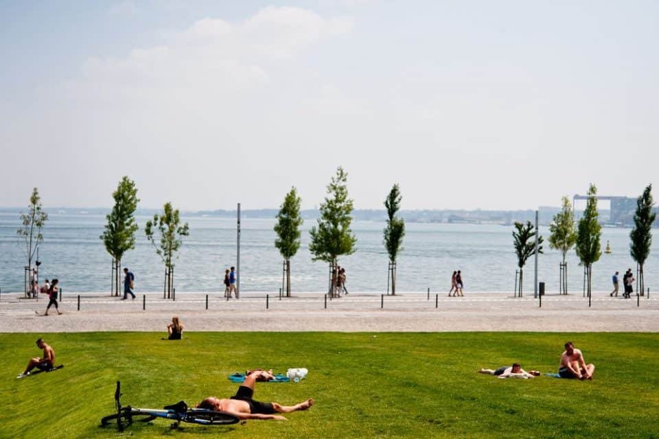 Gente descansando en la césped y disfrutando de Ribeira das Naus