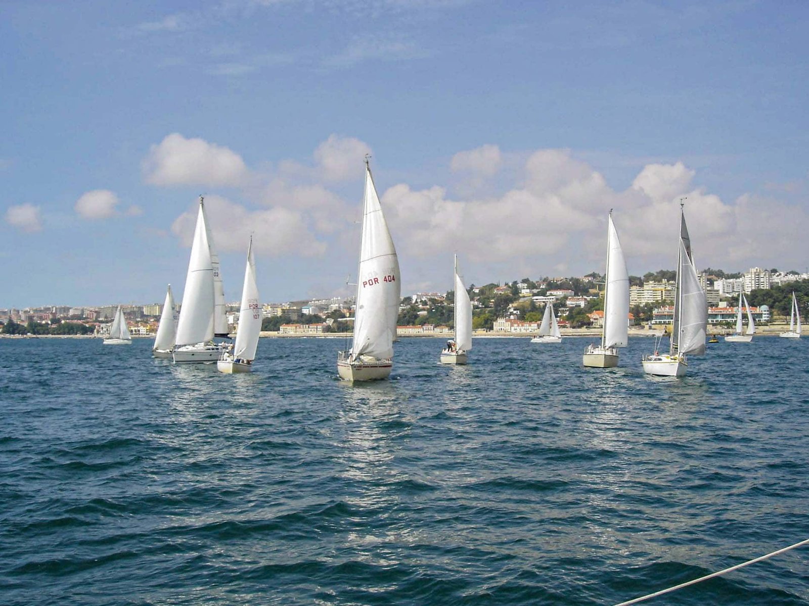 Regata por el río Tajo, con unos 12 veleros