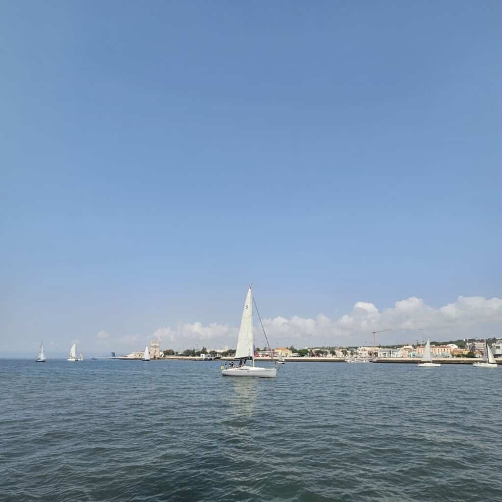 Conjunto de veleros durante la regata 