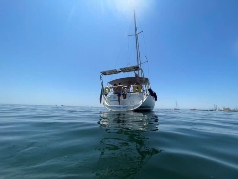 View from the back of the boat, with the river towards the horizon. An immersive setting where nature and sailing meet in perfect harmony